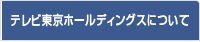 テレビ東京ホールディングスについて